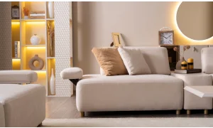 Viral Koltuk Takımı