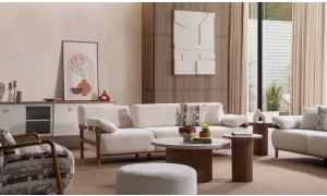 Virjin Koltuk Takımı