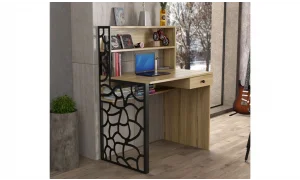 Vision Çalışma Masası