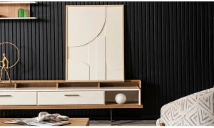 Zen Tv Ünitesi