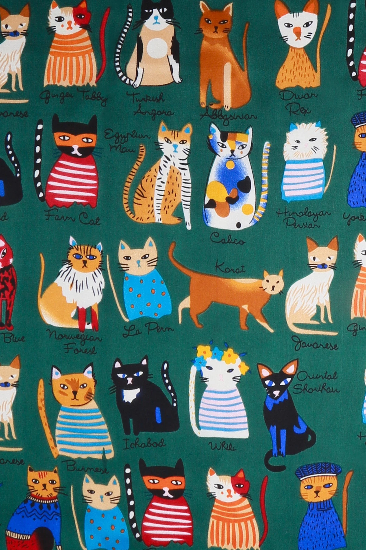 Renkli Kedi Desenli Saten Fular