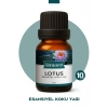 Lotus Koku Yağı Buhurdanlık Yağı Difüzör Esansı Küre 10ml