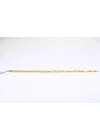 14 Ayar Altın Zincir Kolye 50 CM 4.31 GR KLY3596