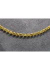 14 Ayar Altın Pullu Model Zincir Kolye 6.51 GR 65 CM ZNC1981