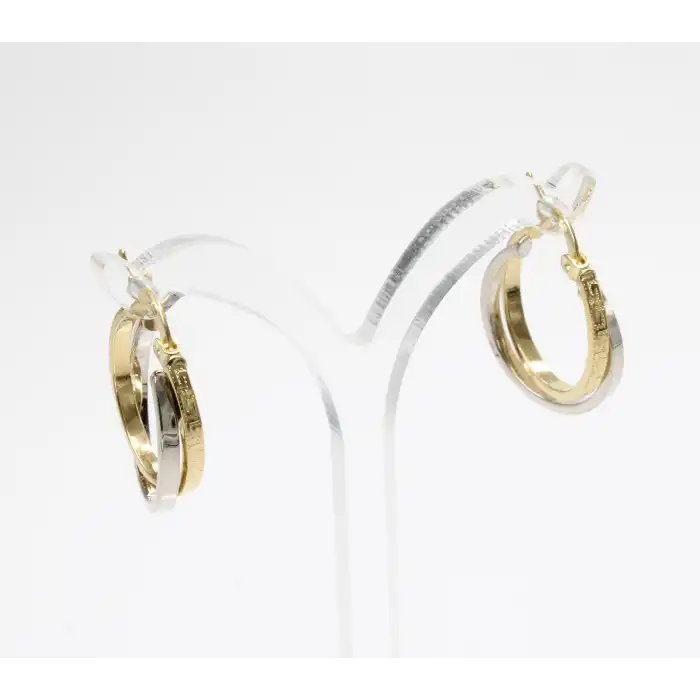 14 Ayar 2 Renkli Küpe