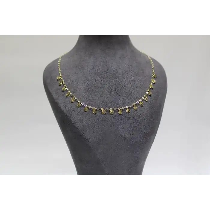 14 Ayar Gerçek Altın Pullu Kolye