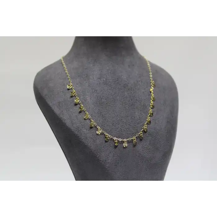 14 Ayar Gerçek Altın Pullu Kolye