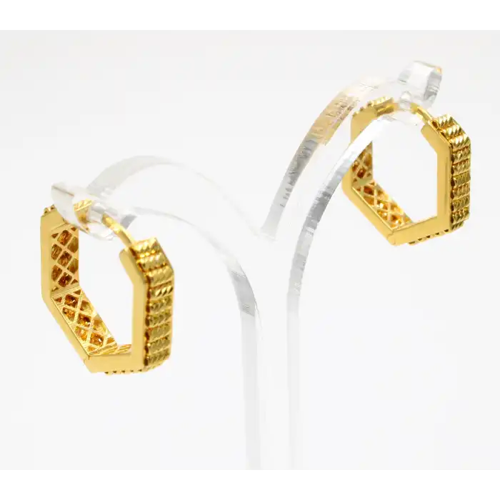 14 Ayar Halka Tasarım Küpe