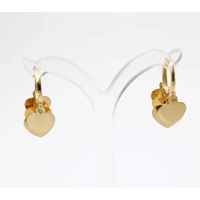 14 Ayar Kalp Desenli Pullu Küpe