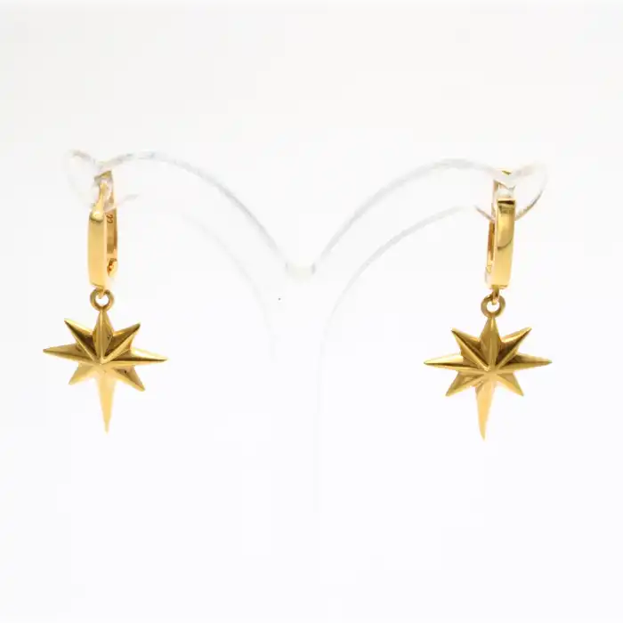 22 Ayar Pusula Küpe