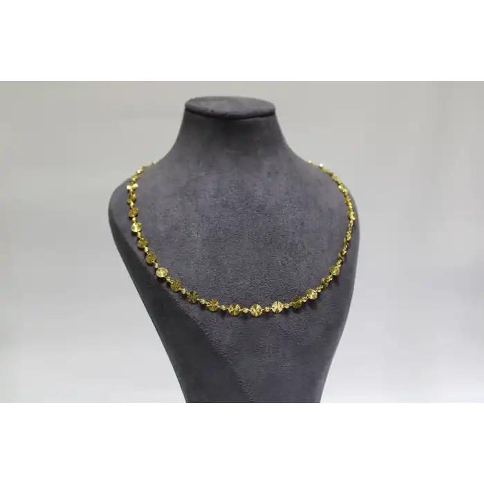 14 Ayar Altın Pullu Dorikalı Kolye