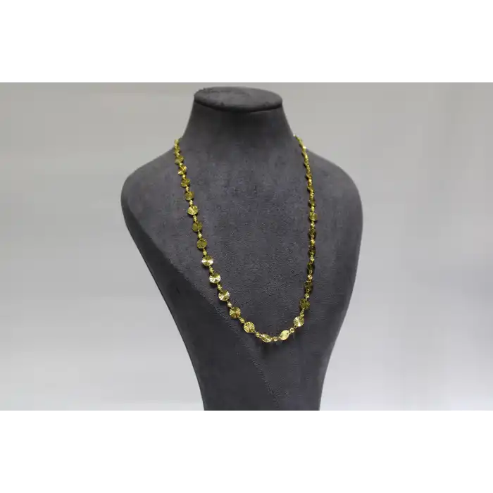 14 Ayar Altın Pullu Dorikalı Kolye