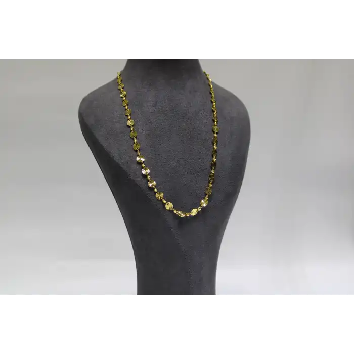 14 Ayar Altın Pullu Dorikalı Kolye