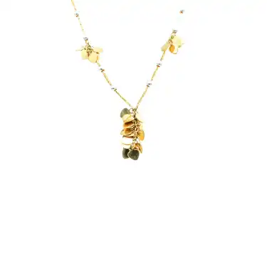 14 Ayar Pullu Salkım Minimal Kolye