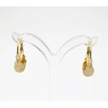 14 Ayar Taşlı Pullu Küpe