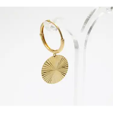 14 ıri Pullu Halka Küpe