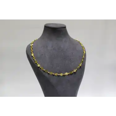 14 Ayar Altın Pullu Dorikalı Kolye