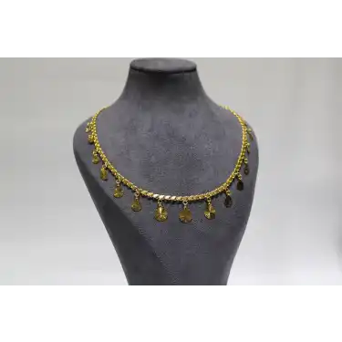 14 Ayar Altın Pullu Kolye