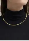 14 Ayar Altın Balık Sırtı Modeli Kolye