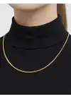 14 Ayar Altın Balık Sırtı Kolye