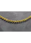 14 Ayar Altın Pullu Model Zincir Kolye 6.51 GR 65 CM ZNC1981