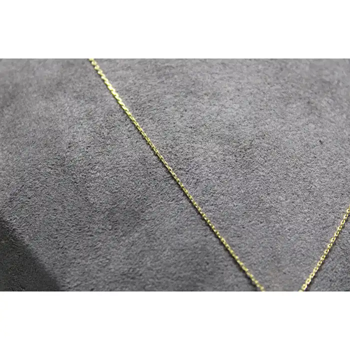 14 Ayar Altın P Harfi Kolye Zinciriyle Beraber