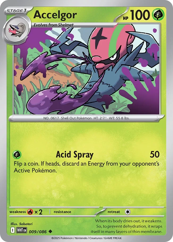 Accelgor Reverse Holo
