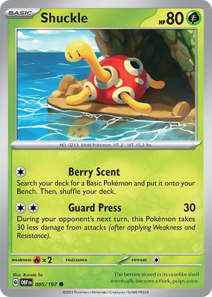 Shuckle Reverse Holo