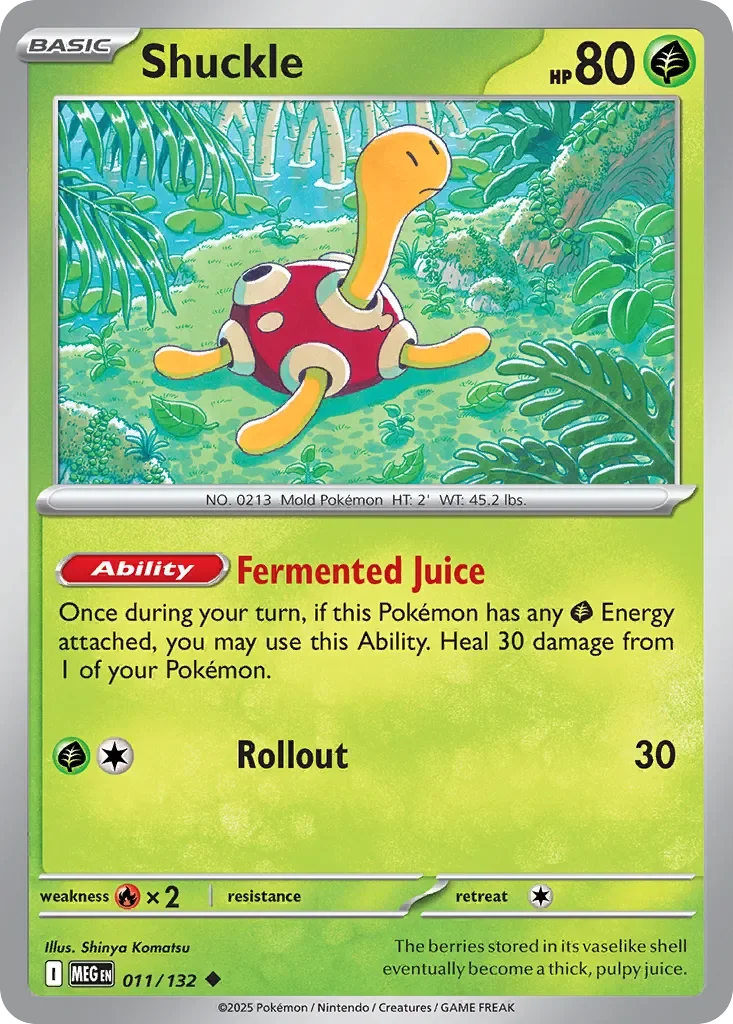 Shuckle Reverse Holo