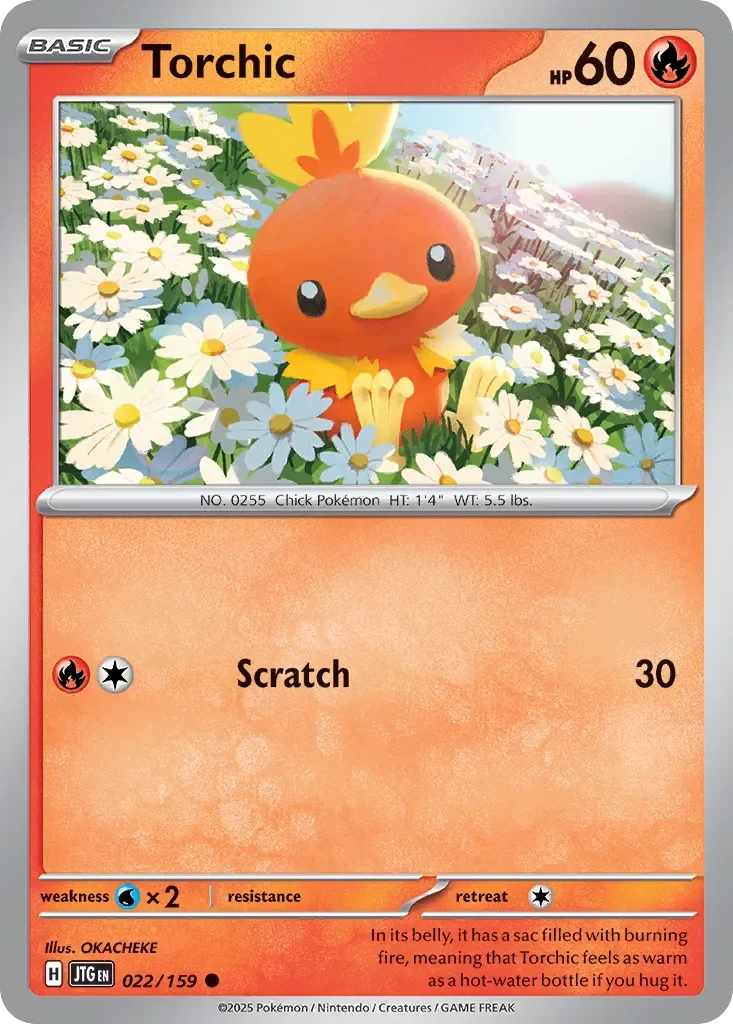 Torchic Reverse Holo