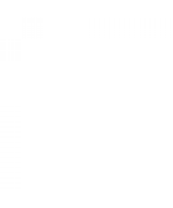 Megane Hava Filtreleri