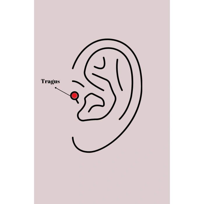 316L Çelik Gümüş Renk Zirkon Taşlı Sonsuzluk Detay Tragus Piercing