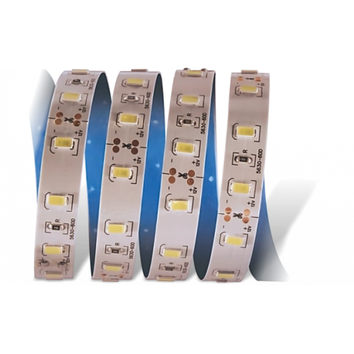 Eco Lounge 5 METRE CATA CT 4535 İç Mekan 12V 12 Çipli  Şerit Led 6400K Beyaz Işık