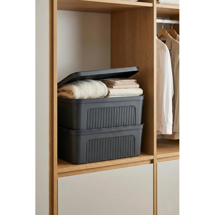 Füme 2Li 17 LT Ünit Saklama Kutusu & Çok Amaçlı Ev Ve Gardırop Düzenleyici Organizer