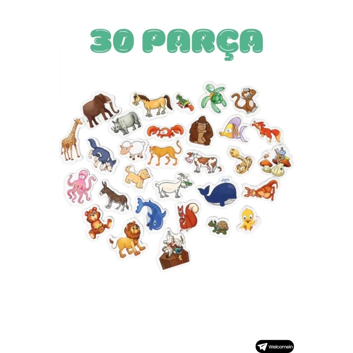 Oyuncak Manyetik Mıknatıslı 30 Parça Hayvanlar 26 Parça Sebze Meyveler Eğitici Set Magnet