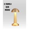 %100 Kademeli Ayarlanabilir Işık – USB Şarjlı Masa Lambası