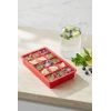 15 Hazneli Silikon Buz Kalıbı & Çok Amaçlı Buzluk Ve Dondurucu Organizeri 12x19 cm