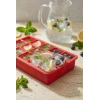 15 Hazneli Silikon Buz Kalıbı & Çok Amaçlı Buzluk Ve Dondurucu Organizeri 12x19 cm