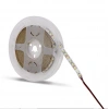 5 Metre NOAS YL35 1201 İç Mekan 12V 120 Ledli Şerit Led 6400K Beyaz Işık