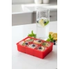 6 Hazneli Silikon Buz Kalıbı & Çok Amaçlı Buzluk Ve Dondurucu Organizeri 11x16 cm