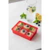6 Hazneli Silikon Buz Kalıbı & Çok Amaçlı Buzluk Ve Dondurucu Organizeri 11x16 cm