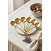 6lı Lüks Gold Paslanmaz Çelik Tatlı Kaşığı Seti (16 cm)