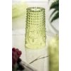 Akrilik Yeşil Tekli Uzun Bardak & Su Meşrubat Bardağı 750 ml ( Büyük Boy & Cam Değildir )