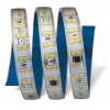 Eco Lounge 1 adet 25 Metre CATA CT 4596 Dış Mekan 240 Ledli 220V Şerit Led 3200K Gün Işığı