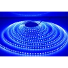 Eco Lounge 5 Metre NOAS YL40 4003 İç Mekan 12V Mavi Şerit Led
