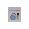 EMR-102 KUTULU 2Lİ KARAOKE MİKROFON