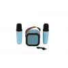 EMR-102 KUTULU 2Lİ KARAOKE MİKROFON