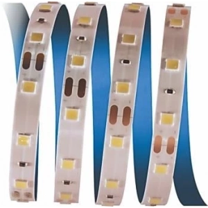 5 METRE CATA CT 4481 İç Mekan 12V 10 Çipli Şerit Led 3200K Günışığı