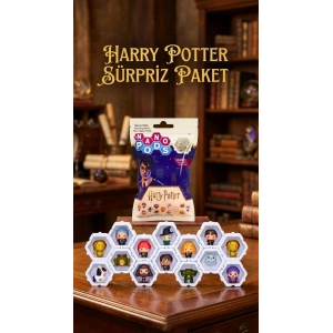 Harry Potter Koleksiyon Sürpriz Figür Seti Ünlü Karakterler