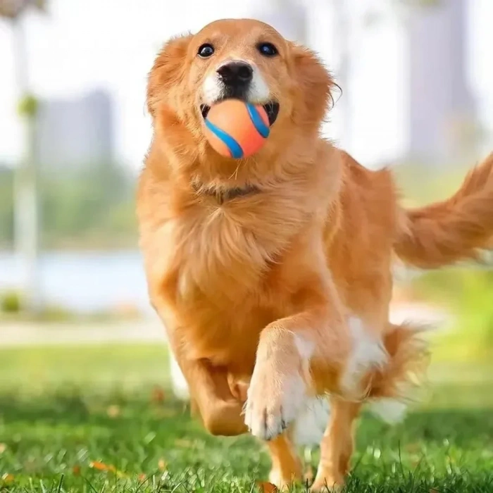 Kedi Küçük Irk Köpek Kauçuk Oyun Topu 5 cm